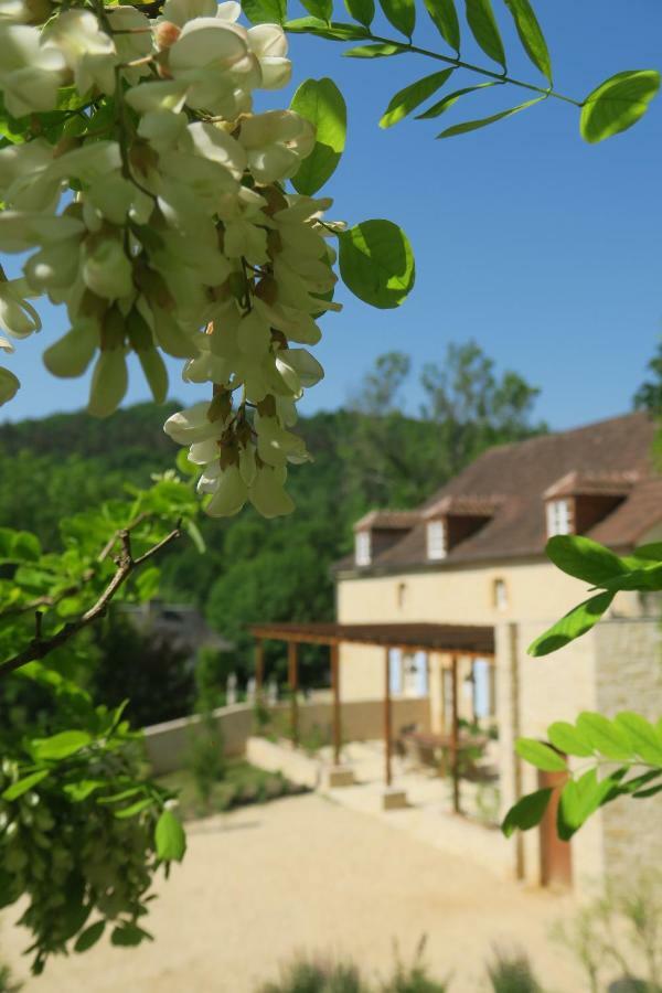 Maison Du Cedre Auriac-du-Périgord Exterior foto